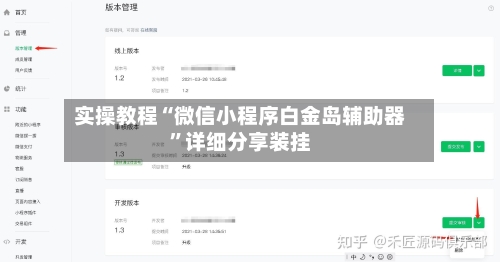 实操教程“微信小程序白金岛辅助器”详细分享装挂