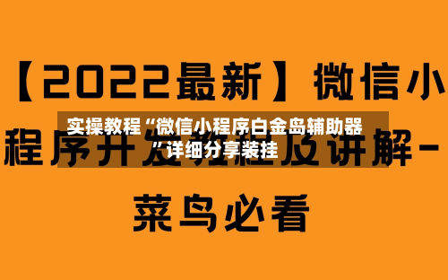 实操教程“微信小程序白金岛辅助器”详细分享装挂-第3张图片