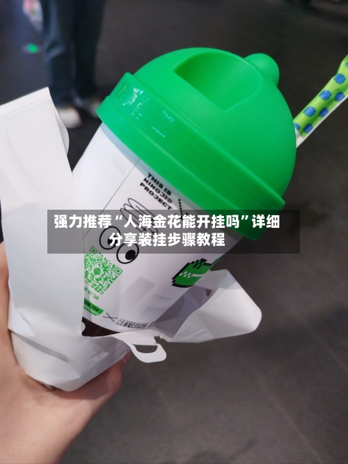 强力推荐“人海金花能开挂吗	”详细分享装挂步骤教程-第3张图片