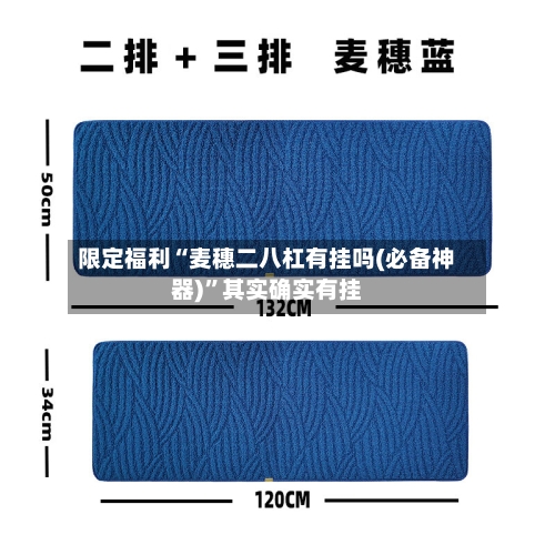 限定福利“麦穗二八杠有挂吗(必备神器)”其实确实有挂-第2张图片