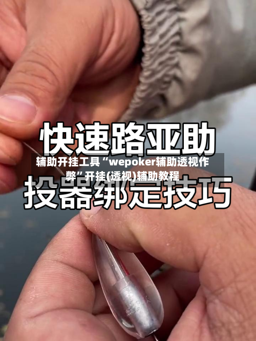 辅助开挂工具“wepoker辅助透视作弊”开挂(透视)辅助教程-第2张图片