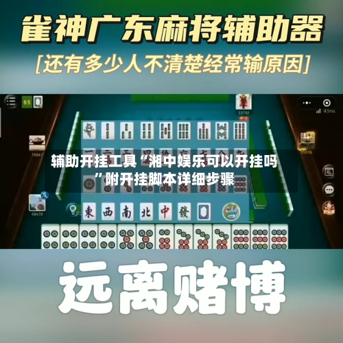 辅助开挂工具“湘中娱乐可以开挂吗”附开挂脚本详细步骤-第2张图片