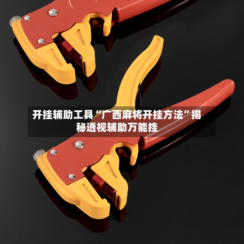 开挂辅助工具“广西麻将开挂方法”揭秘透视辅助万能挂-第3张图片