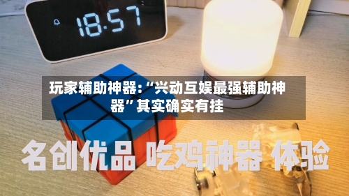 玩家辅助神器:“兴动互娱最强辅助神器”其实确实有挂-第2张图片