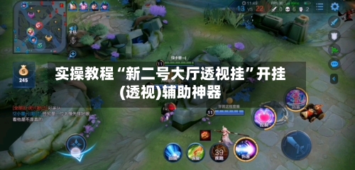 实操教程“新二号大厅透视挂”开挂(透视)辅助神器-第3张图片