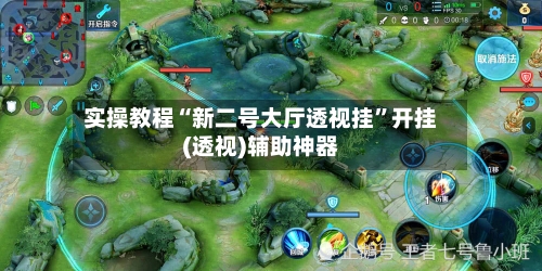 实操教程“新二号大厅透视挂”开挂(透视)辅助神器