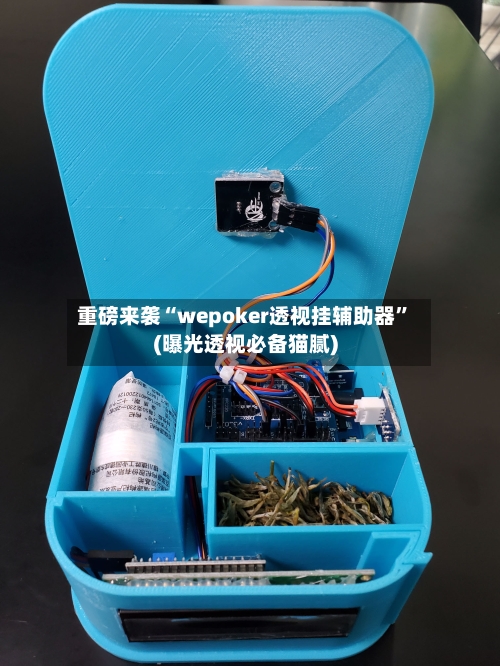 重磅来袭“wepoker透视挂辅助器”(曝光透视必备猫腻)-第3张图片