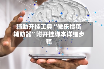 辅助开挂工具“微乐掼蛋辅助器	”附开挂脚本详细步骤-第2张图片