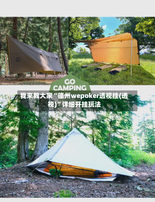 我来教大家“德州wepoker透视挂(透视)	”详细开挂玩法-第2张图片