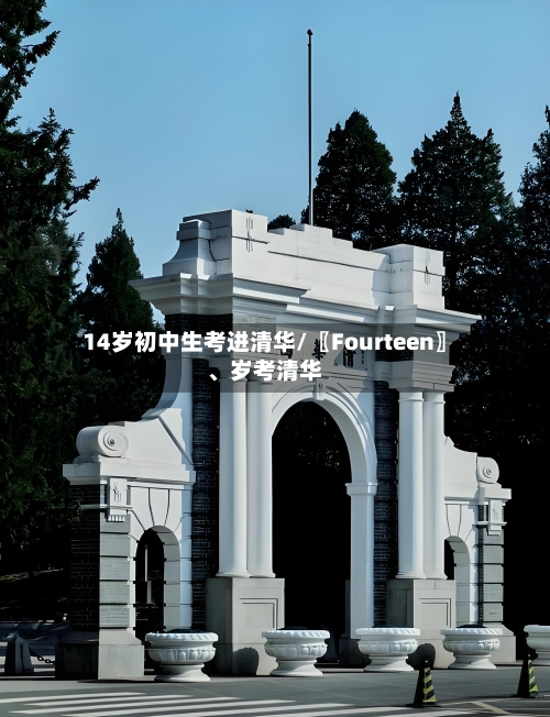 14岁初中生考进清华/〖Fourteen〗、岁考清华-第3张图片