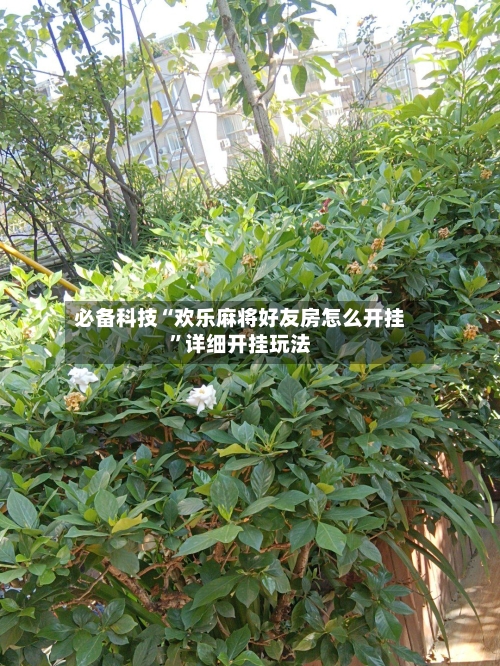必备科技“欢乐麻将好友房怎么开挂”详细开挂玩法