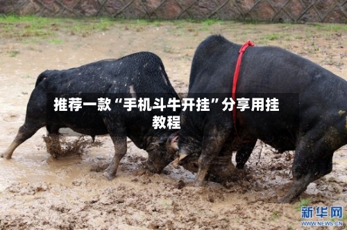 推荐一款“手机斗牛开挂”分享用挂教程-第2张图片