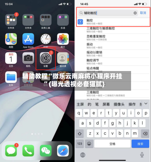 辅助教程“微乐云南麻将小程序开挂”(曝光透视必备猫腻)-第3张图片