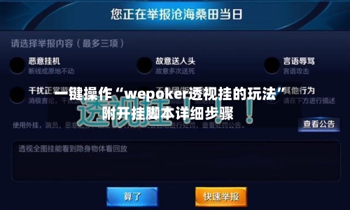 一键操作“wepoker透视挂的玩法	”附开挂脚本详细步骤-第2张图片