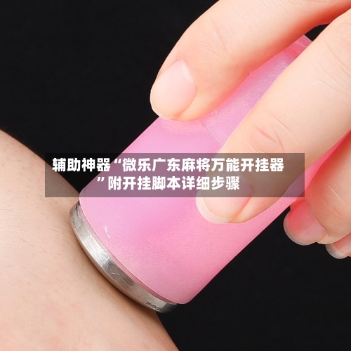 辅助神器“微乐广东麻将万能开挂器”附开挂脚本详细步骤-第3张图片