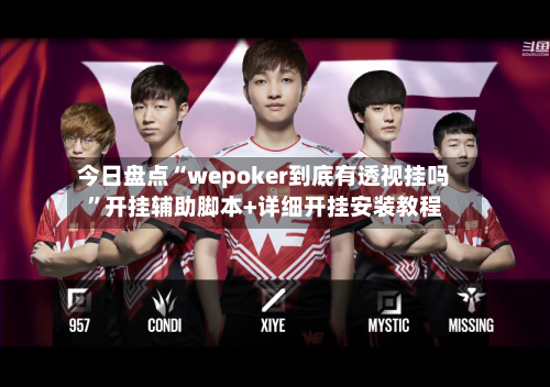 今日盘点“wepoker到底有透视挂吗”开挂辅助脚本+详细开挂安装教程-第3张图片