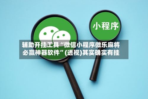 辅助开挂工具“微信小程序微乐麻将必赢神器软件	”(透视)其实确实有挂-第2张图片