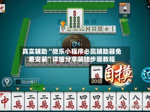 真实辅助“微乐小程序必赢辅助器免费安装	”详细分享装挂步骤教程-第2张图片