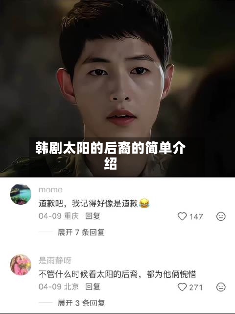 韩剧太阳的后裔的简单介绍