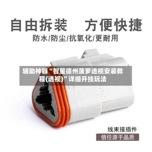 辅助神器“智星德州菠萝透视安装教程(透视)”详细开挂玩法-第3张图片