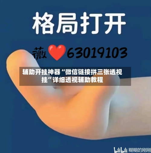 辅助开挂神器“微信链接拼三张透视挂	”详细透视辅助教程-第3张图片