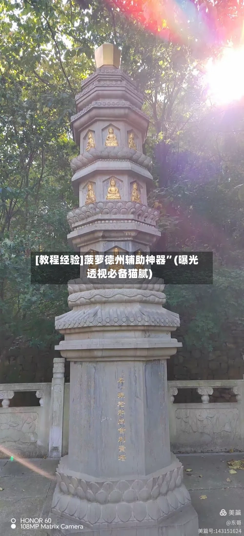 [教程经验]菠萝德州辅助神器”(曝光透视必备猫腻)-第3张图片