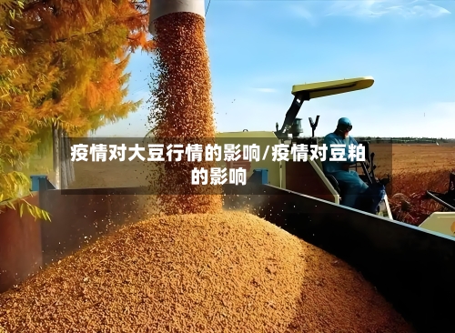 疫情对大豆行情的影响/疫情对豆粕的影响-第2张图片