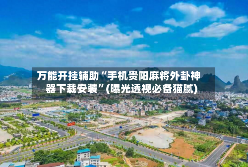 万能开挂辅助“手机贵阳麻将外卦神器下载安装”(曝光透视必备猫腻)-第3张图片