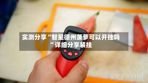 实测分享“智星德州菠萝可以开挂吗	”详细分享装挂-第2张图片