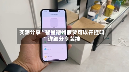实测分享“智星德州菠萝可以开挂吗”详细分享装挂-第3张图片
