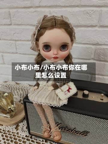小布小布/小布小布你在哪里怎么设置
