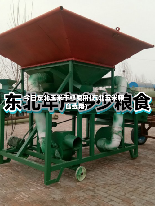 今日东北玉米干粮费用(东北玉米粮食费用)