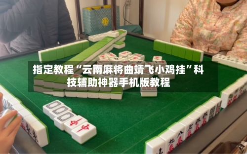 指定教程“云南麻将曲靖飞小鸡挂	”科技辅助神器手机版教程-第2张图片