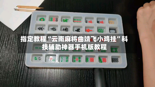 指定教程“云南麻将曲靖飞小鸡挂”科技辅助神器手机版教程-第3张图片