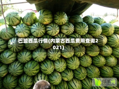 巴盟西瓜行情(内蒙古西瓜费用查询2021)