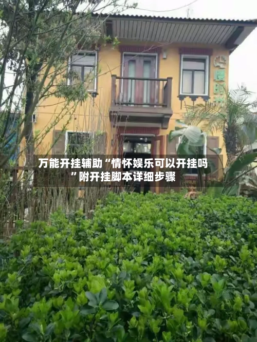 万能开挂辅助“情怀娱乐可以开挂吗”附开挂脚本详细步骤-第2张图片