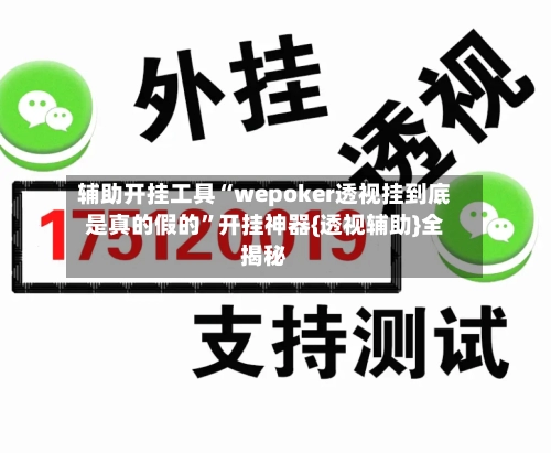 辅助开挂工具“wepoker透视挂到底是真的假的	”开挂神器{透视辅助}全揭秘-第3张图片