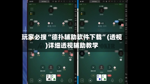 玩家必搜“德扑辅助软件下载”(透视)详细透视辅助教学-第2张图片