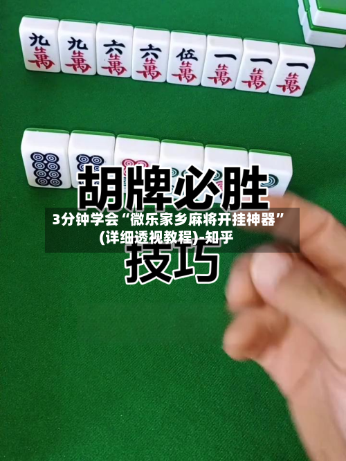 3分钟学会“微乐家乡麻将开挂神器”(详细透视教程)-知乎-第3张图片