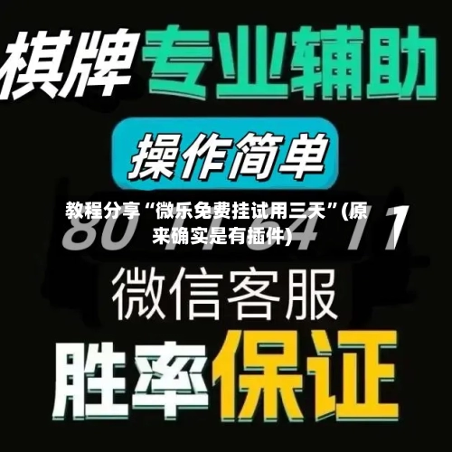 教程分享“微乐免费挂试用三天”(原来确实是有插件)-第3张图片