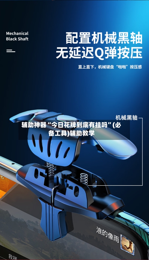 辅助神器“今日花牌到底有挂吗”(必备工具)辅助教学