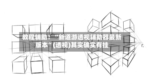 教程辅助！“新道游透视辅助器最新版本”(透视)其实确实有挂