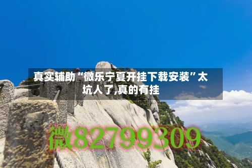 真实辅助“微乐宁夏开挂下载安装	”太坑人了,真的有挂-第2张图片