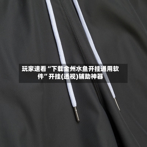 玩家速看“下载金州水鱼开挂通用软件”开挂(透视)辅助神器-第2张图片