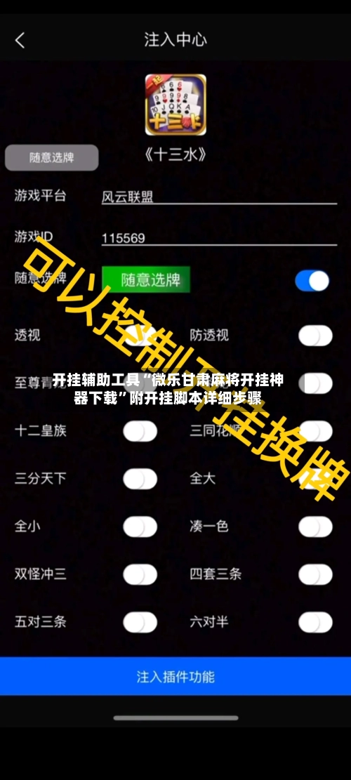 开挂辅助工具“微乐甘肃麻将开挂神器下载”附开挂脚本详细步骤