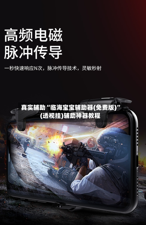 真实辅助“临海宝宝辅助器(免费版)”(透视挂)辅助神器教程-第2张图片