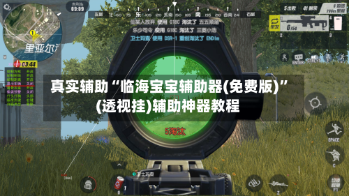 真实辅助“临海宝宝辅助器(免费版)”(透视挂)辅助神器教程