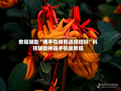 教程辅助“佛手在线有透视挂吗”科技辅助神器手机版教程-第2张图片