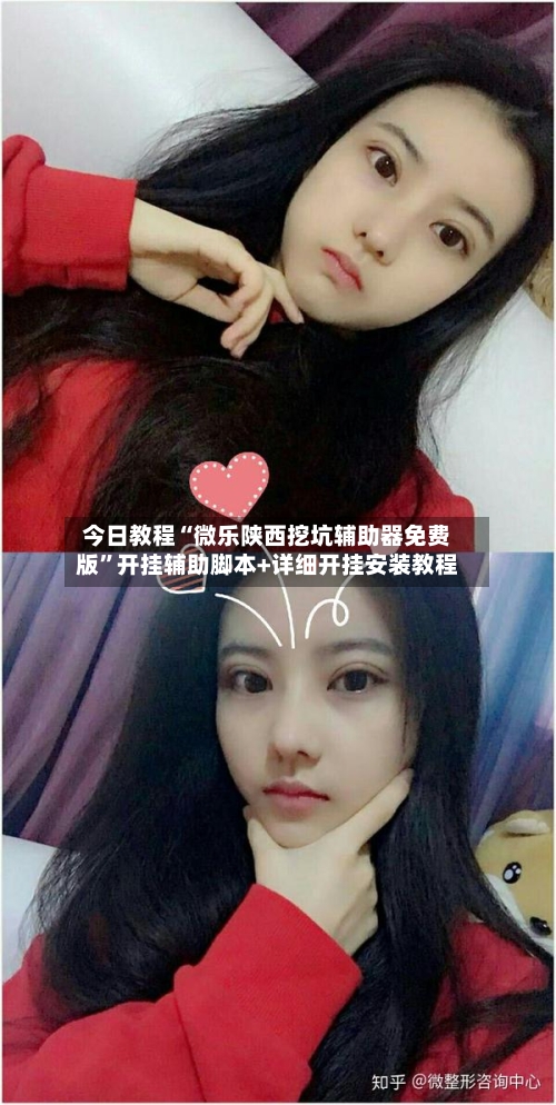 今日教程“微乐陕西挖坑辅助器免费版”开挂辅助脚本+详细开挂安装教程-第2张图片