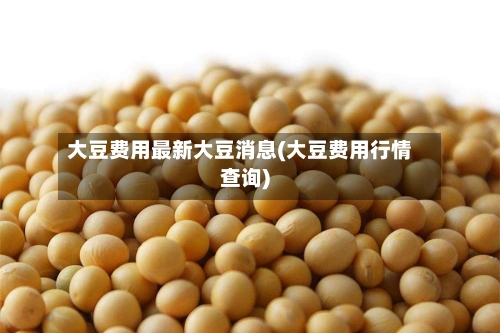 大豆费用最新大豆消息(大豆费用行情查询)-第2张图片